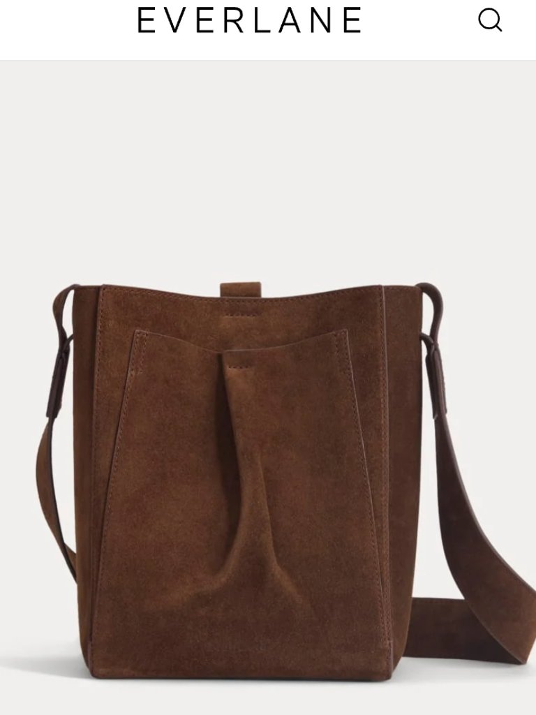 Everlane Suede Bag "Like New"